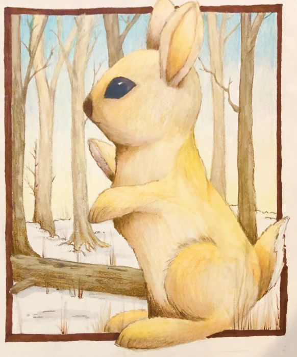 Bunny by Amy Sue Stirland